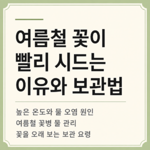 여름철 꽃이 빨리 시드는 이유와 오래 보관하는 방법