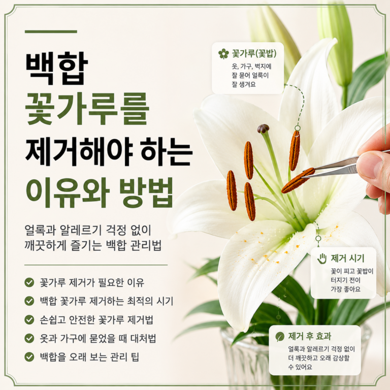 백합 꽃가루를 제거해야 하는 이유와 올바른 제거법 9 백합 꽃가루를 제거해야 하는 이유와 올바른 제거법
