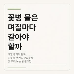 ChatGPT Image 2026년 8월 4일 오후 12 07 59