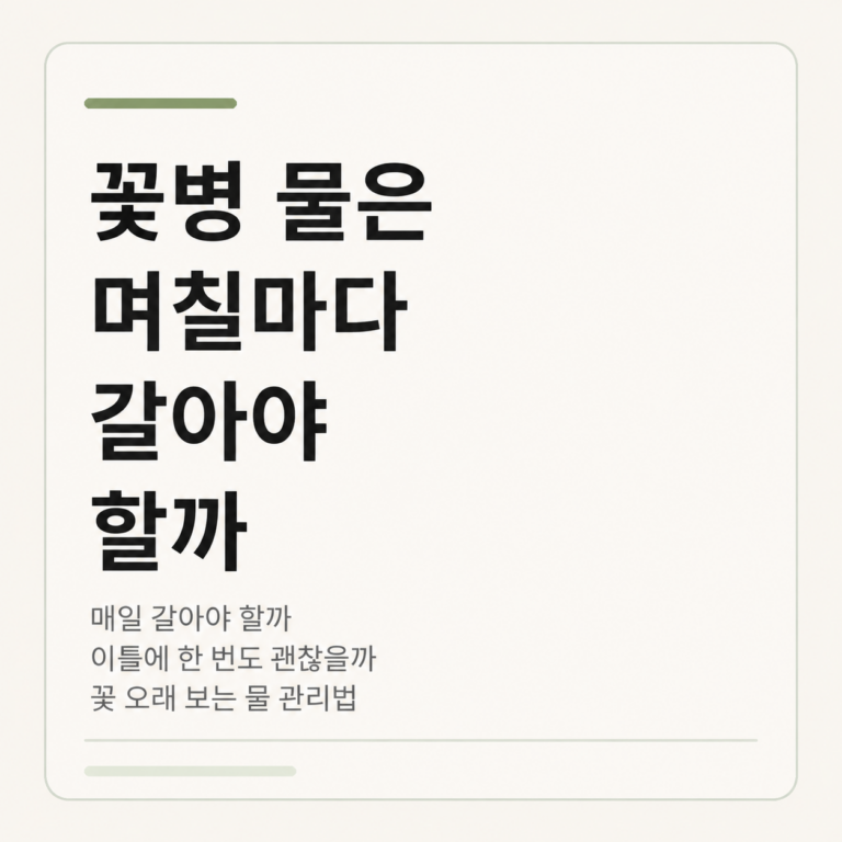 꽃병 물은 며칠마다 갈아야 할까? 올바른 물 관리법 3 ChatGPT Image 2026년 8월 4일 오후 12 07 59