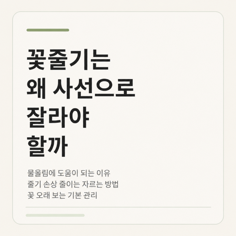 꽃줄기를 사선으로 잘라야 하는 이유와 자르는 방법 2 ChatGPT Image 2026년 8월 4일 오후 12 15 37