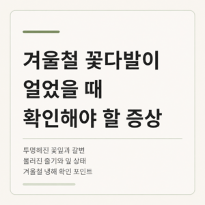 겨울철 꽃다발이 얼었을 때 나타나는 증상