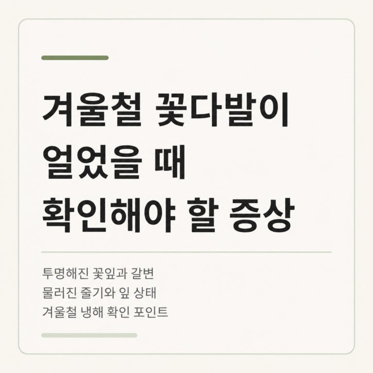 겨울철 꽃다발이 얼었을 때 나타나는 증상