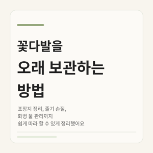 꽃다발 오래 보관하는 방법 정사각 썸네일